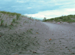 Images from Presque Isle's beaches