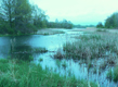 Images of Presque Isle's wetlands